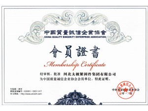 榮譽證書